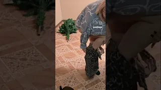 بنت تخلع ملابسها قدام الكاميرا اكسبلور Mermaid 