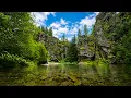 The Most Beautiful TROUT Stream I ve Ever Fished