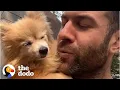 Download Lagu 16-Year-Old Dog Steals Her Foster Dad's Heart | Ruff Life With Lee Asher