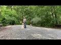 Goldendoodle Training Puppy Training Atlanta GA - Maggie