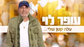 עופר לוי עלה קטן שלי OFER LEVI 