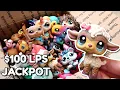 I Hit The LPS Jackpot 100 lot