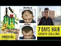 Ginger Germinal Hair Oil 7 Days Hair Growth Challenge Fast Hair Loss Treatment