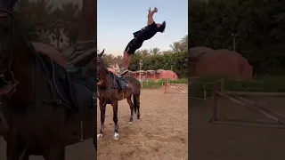 الخيل كان هيوقعني   دندنها