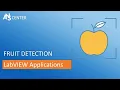 DLHUB Application How to design a real-time LabVIEW deep learning fruit detection application