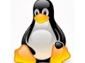 Output redirection - linux command line