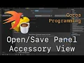Cocoa Programming L85 - Panel Accessory View