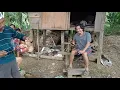 Download Lagu masak babi orang dayak