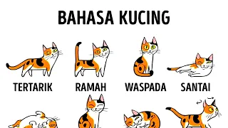 Download Cara Memahami Kucing Lebih Baik MP3