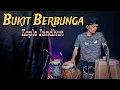 Download Lagu Bukit Berbunga - koplo Jandhut Version