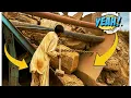Download Lagu PLAYING with GIANT Rocks! ASMR Rock Quarry CRUSHING Operations - Primary Jaw Crusher in Action.