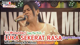 Download LUKA SEKERAT RASA Arief \u0026 Yollanda Live Recording cover lagu Tri Wulandari di Malinau sebrang MP3