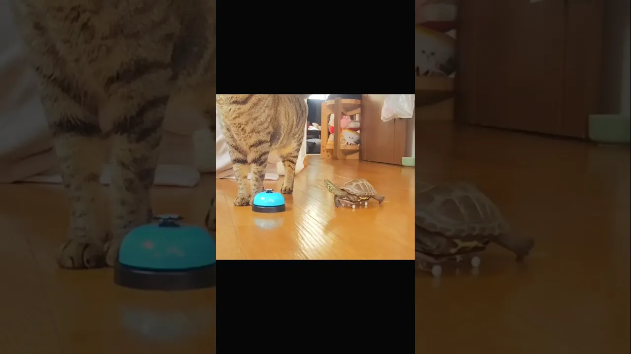 全力で生きてる