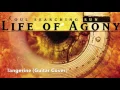 Life of Agony - Tangerine (Guitar Cover)