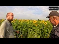 Download Lagu FARMVLOG #302 wintertarwe zaaien en demoveld groenbemesters