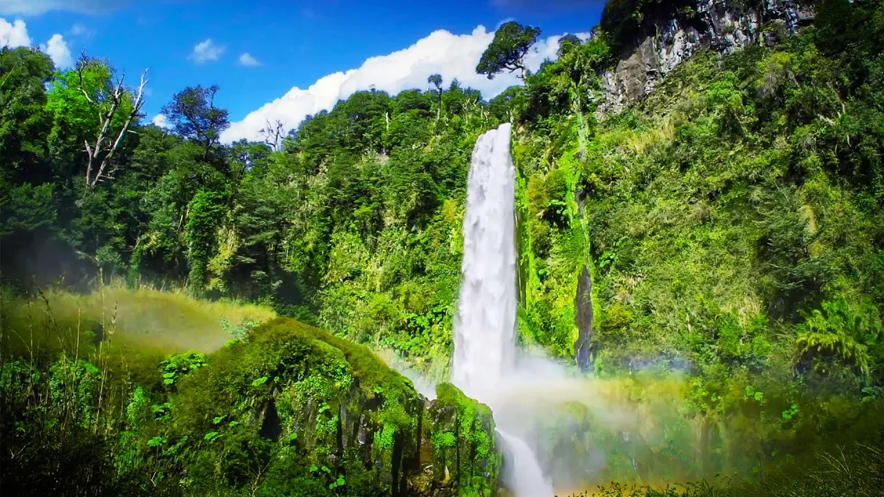 Sleep Better with Soothing Waterfall Sound | White Noise for Sleeping or Studying | 10 Hours Sleep Better with Soothing Waterfall Sound | White Noise for Sleeping or Studying | 10 Hours