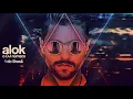 ALOK Full Album | Top EDM Artist #8 | Game remix