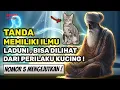 Lagu MENGEJUTKAN❗ 5 Perilaku Kucing Yang Menandakan Anda Pemilik Ilmu Laduni Sakti!