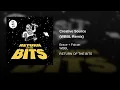 Braxe + Falcon - Creative Source (WBBL Remix)