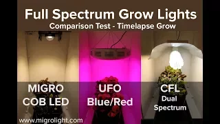 Download Full spectrum grow light comparison test - COB vs Red Blue LED vs CFL MP3