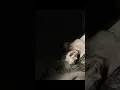 Download Lagu Bone Tomahawk #shorts #moviereview