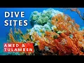Amed and Tulamben dive sites. A few of my favourite spots in Bali
