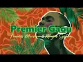 Francis Mercier & Magic System - Premier Gaou (Nitefreak Remix)