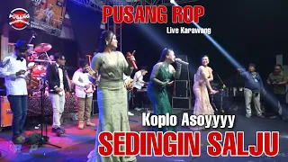 Download Enak Bener ❗❗❗ Sedingin Salju Versi Pusang ROP | Live Karawang MP3
