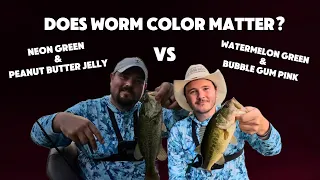 Does Worm Color Really Matter? - Reely Bad Fishing - EP 3 