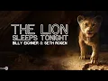 Billy Eichner & Seth Rogen - The Lion Sleeps Tonight 🎵 (Lyric) From The Lion King