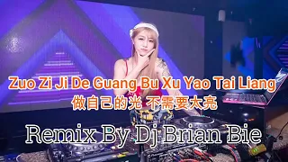zuo zi ji de guang bu xu yao tai liang electro manyao by dj brian bie manyaoremix