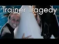 The Start of SeaWorld s Downfall Dawn Brancheau and Tilikum