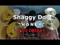 SHAGGY DOG - HONEY (NO SOUND DRUM)