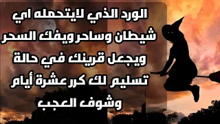 الورد الذي لايتحمله اي شيطان وساحر ويفك السحر ويجعل قرينك في حالة تسليم لك كرر عشرة أيام وشوف العجب 