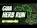 HERBS RUN - 220K en 10 minutos Exp Money Making
