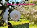 Download Lagu Untuk apa doa dan air mata@bydarmansyah@coveryani