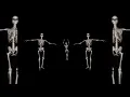 Ya el yelil - sped up