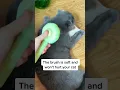 See her reaction in the end