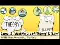 Casual and Scientific Use of Theory and Law