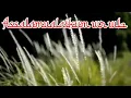 BOSAN MENGALAH LYRIK (ELVY SUKAESIH)