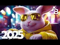 Download Lagu Top EDM Party Hits 2025 🎧 | Best Festival Remixes \u0026 DJ Mixes | Nonstop Dance Vibes