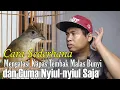 Download Lagu PERAWATAN KAPAS TEMBAK MACET BUNYI || CARA MENGATASI KAPAS TEMBAK BENGONG DAN NYIUL-NYIUL SAJA