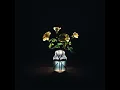 In The Morning Light - Billy Strings