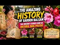 The Amazing History of Garden Balsam The Ancient Flower Used as Natural Nail Polish
