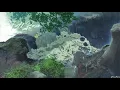 Fall rain • July trời đang mưa làm quả nhạc này nữa thì hết bài🥰