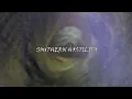 DEVILISH TRIO - SOUTHERN HOSTILITY (Lyric Video)