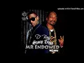 D'banj feat. Snoop Dogg - Mr Endowed (Remix) [Official Audio / No Music Video]