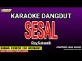 Download Lagu SESAL KARAOKE DANGDUT - ELVY SUKAESIH