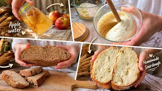 How I Make a Strong Sourdough Starter with Fermented Apple Water |Subtitles|ASMR