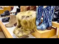 Steve Madden Shoes